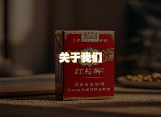 关于逸客网